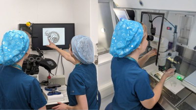 卵子激活技术：针对受精失败患者的救命稻草