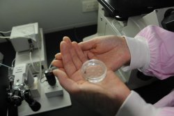 俄罗斯试管可以代孕吗？嘉运国际解答