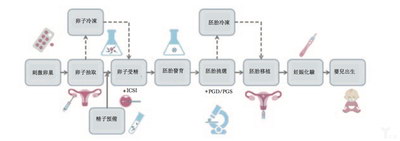 HCG在试管助孕医治中会起到什么作用