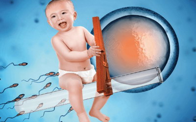 嘉运国际：客户好评如潮，口碑见证实力