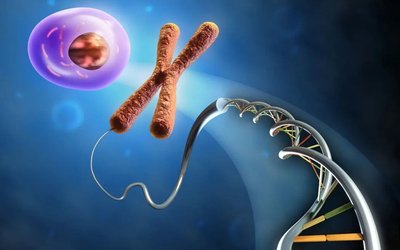 嘉运国际：泰国试管费用仅需8-12万？真实报价