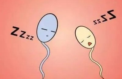 嘉运国际：海外试管全流程透明，费用清晰无隐性消费