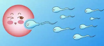 嘉运国际：清明节后调理身体，备战试管