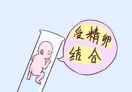 嘉运国际制作：海外试管婴儿行前准备物品核对清单（可打印）