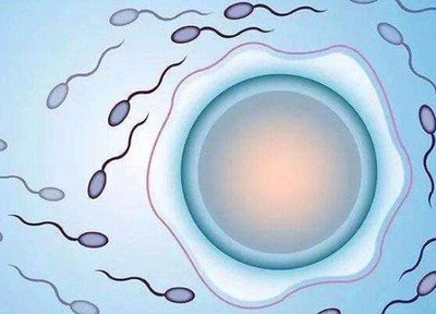 深圳嘉运国际，海外试管成功案例分享。