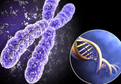 2026泰国三代试管婴儿价格表