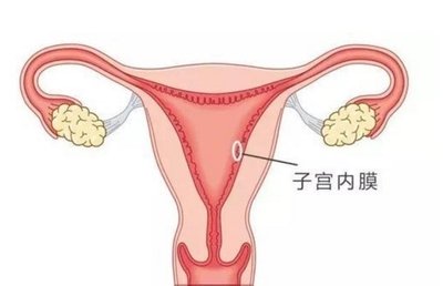 这条路，您不用独自前行——嘉运国际与您相伴。
