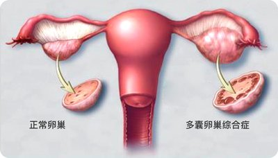 媒体是如何报道嘉运国际的？我们的品牌成长之路。
