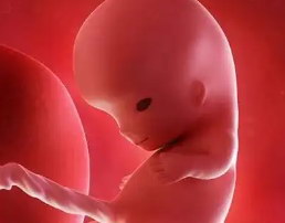 与嘉运国际同行，海外试管之路更安心。