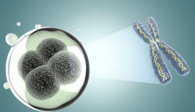 不孕夫妻进行试管婴儿医治需要经过哪些步骤