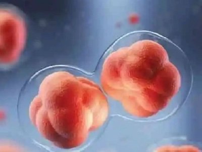 嘉运国际：柬埔寨试管婴儿的法律与医疗环境。