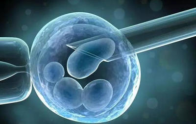 嘉运国际APP上线！随时查看试管进度