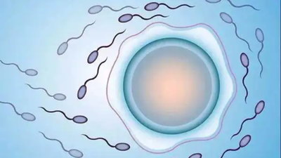 嘉运国际：清明节后调理身体，备战试管