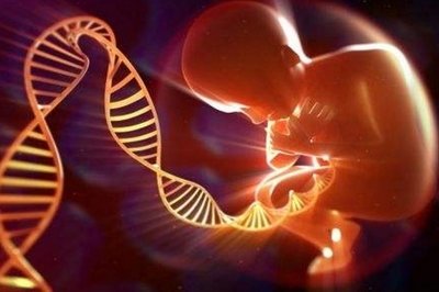 嘉运国际：避免语言障碍，选择有翻译服务