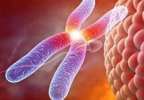 影响泰国第三代试管婴儿费用的原因有哪些呢？