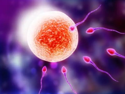 出国做试管婴儿，医疗签证如何办理？