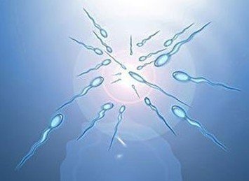 海外试管可以买保险吗?嘉运国际合作保险公司