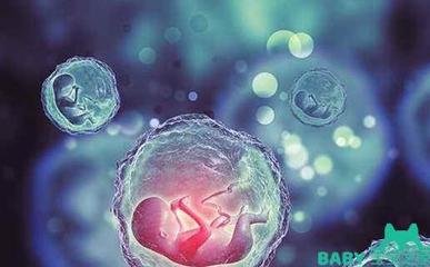 大龄去泰国试管婴儿攻略有吗?