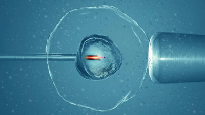嘉运国际:海外试管可远程初诊,节省时间