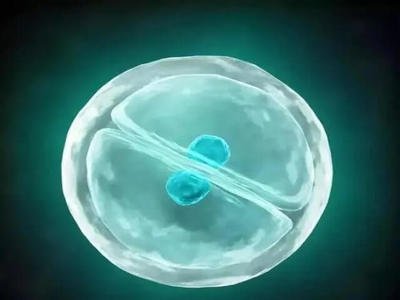 国内试管多次失败怎么办？嘉运国际海外新选择