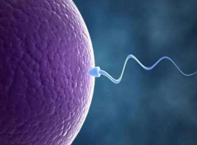 2026泰国做三代试管哪里好呢