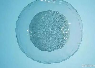 嘉运国际：俄罗斯试管费用包含哪些项目？