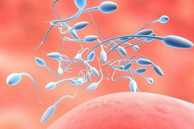 2026泰国三代试管婴儿成功率多少？怎么提高？