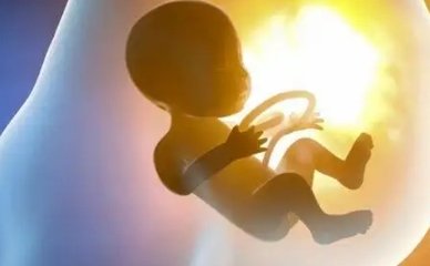 2026泰国第三代试管婴儿成功率有多少？