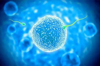 本周六嘉运国际深圳办公室举办试管知识沙龙。