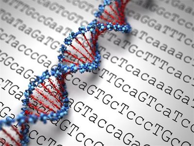 宫腔粘连术后如何尽快生养可以试管婴儿吗