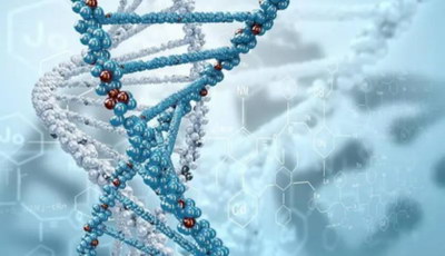 除了泰国，东南亚还有哪些试管选择？嘉运国际盘点柬埔寨、老挝。