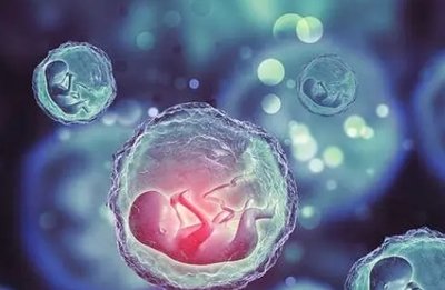 如何调理卵子质量？养出又圆又亮的“好卵泡”