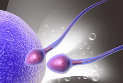 三八妇女节：致敬每一位勇敢追梦的妈妈