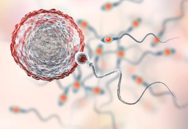 2026泰国第三代试管婴儿费用大概多少？