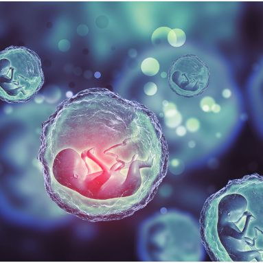 嘉运国际成功率的承诺：我们如何用数据和方案兑现，而非空头支票