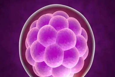 线粒体移植技术：这是未来试管婴儿的新方向吗？