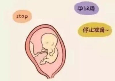 赴泰试管必备清单：嘉运国际为您整理好了。