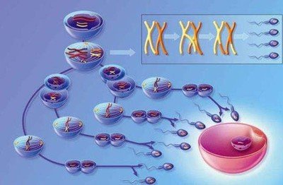 泰国试管婴儿成功率有多少?跟技术有关系吗?
