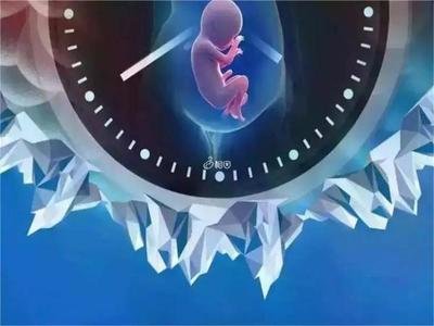 嘉运国际：提供国际医疗保险对接服务