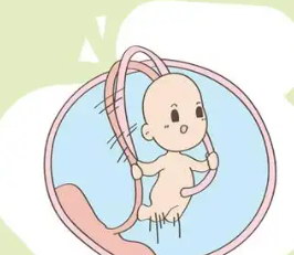 新年新希望：2025年试管备孕攻略