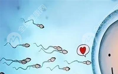 2026泰国第三代试管婴儿成功率有多少？