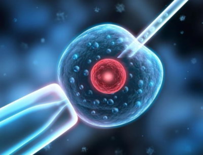 本周六嘉运国际深圳办公室举办试管知识沙龙。