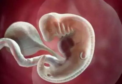 海外试管可以分期付款吗?嘉运国际支持