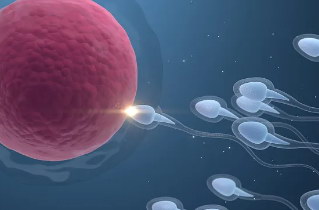 一份详细的海外试管婴儿行程规划（以泰国为例）