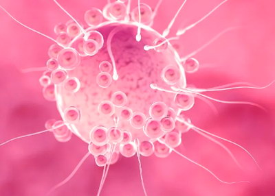 俄罗斯试管婴儿技术为何全球领先？