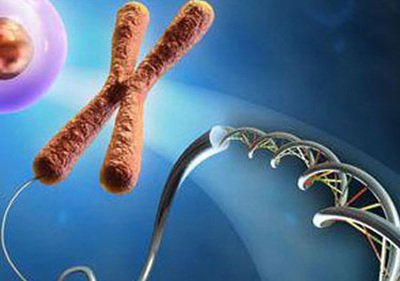 嘉运国际：海外试管套餐，包成功/包出生可选