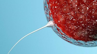 海外试管生的宝宝能上中国户口吗？嘉运国际解答