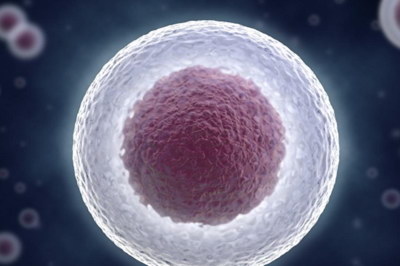 客户vlog：从取卵到移植的24小时记录