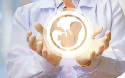 嘉运国际：转介绍率高达30%，信赖之选