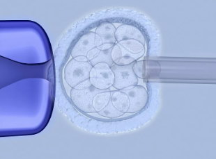 嘉运国际：避开春节高峰，错峰做试管